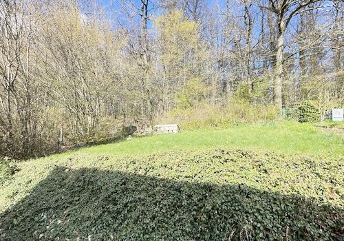 Blick aufs Grundstück (EG)