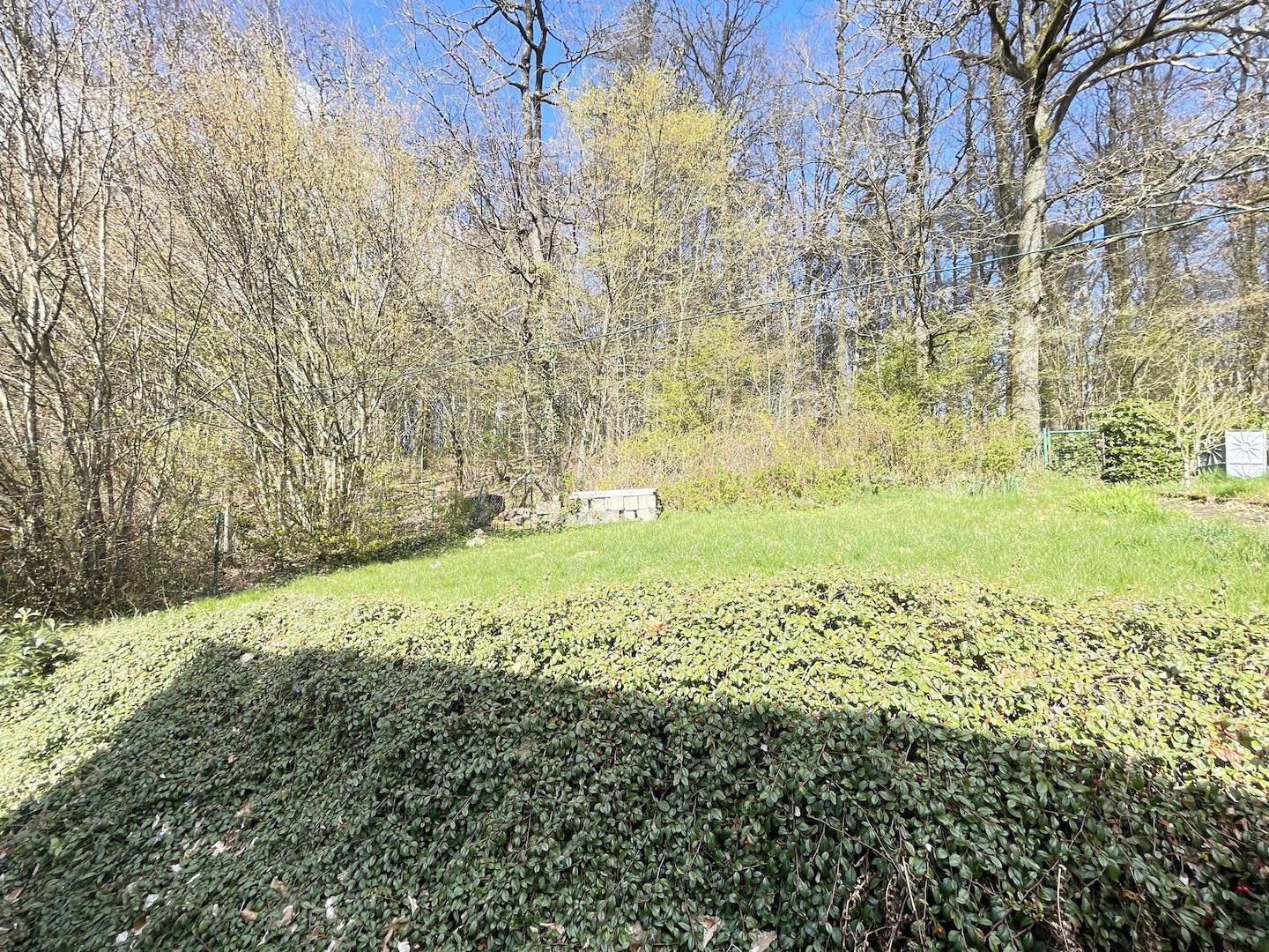 Blick aufs Grundstück (EG)