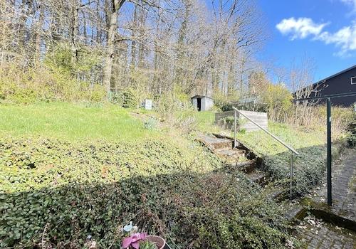 Blick aufs Grundstück (EG)