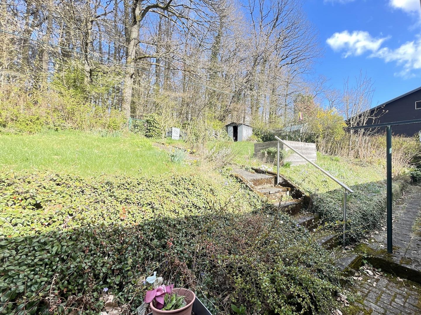 Blick aufs Grundstück (EG)