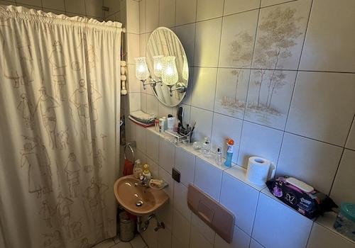 Gästetoilette mit Dusche