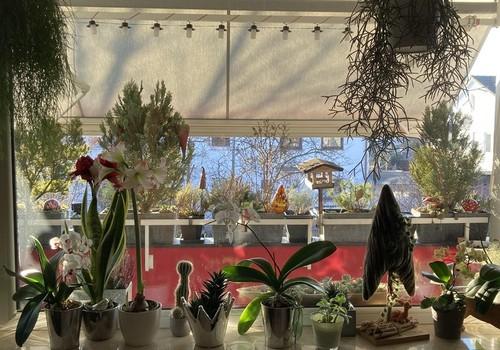 Blick aus Wohnzimmer