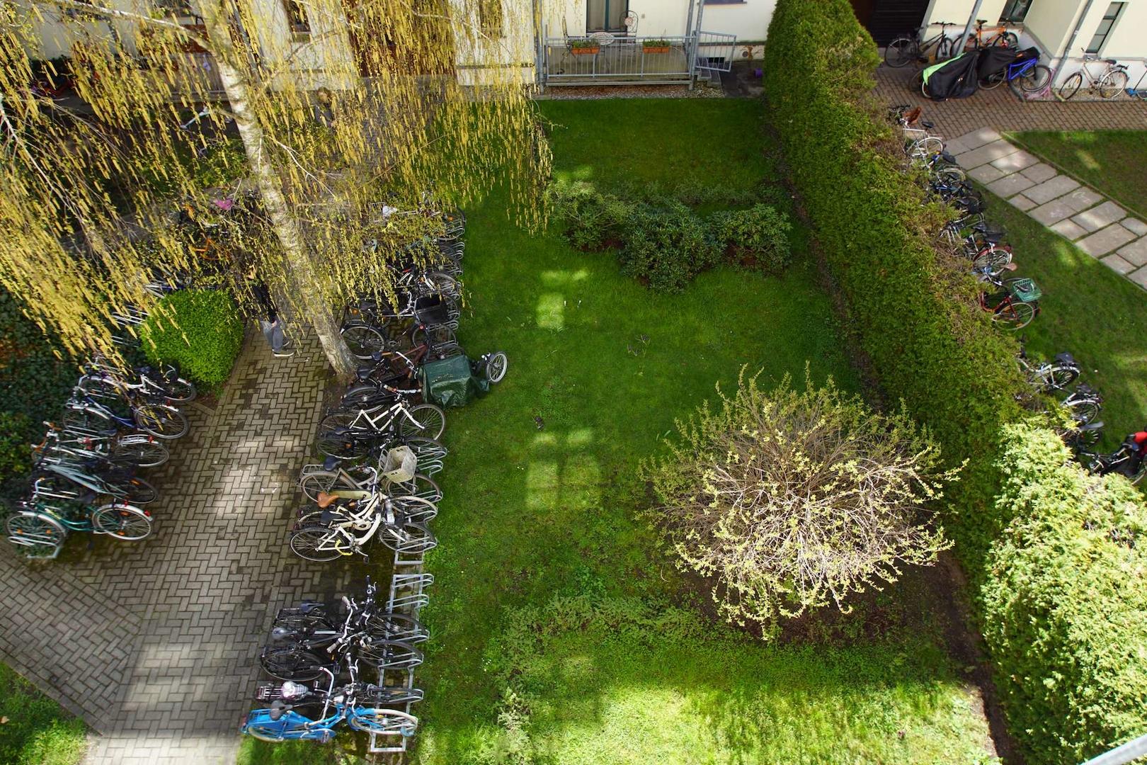 Blick in den grünen Hof