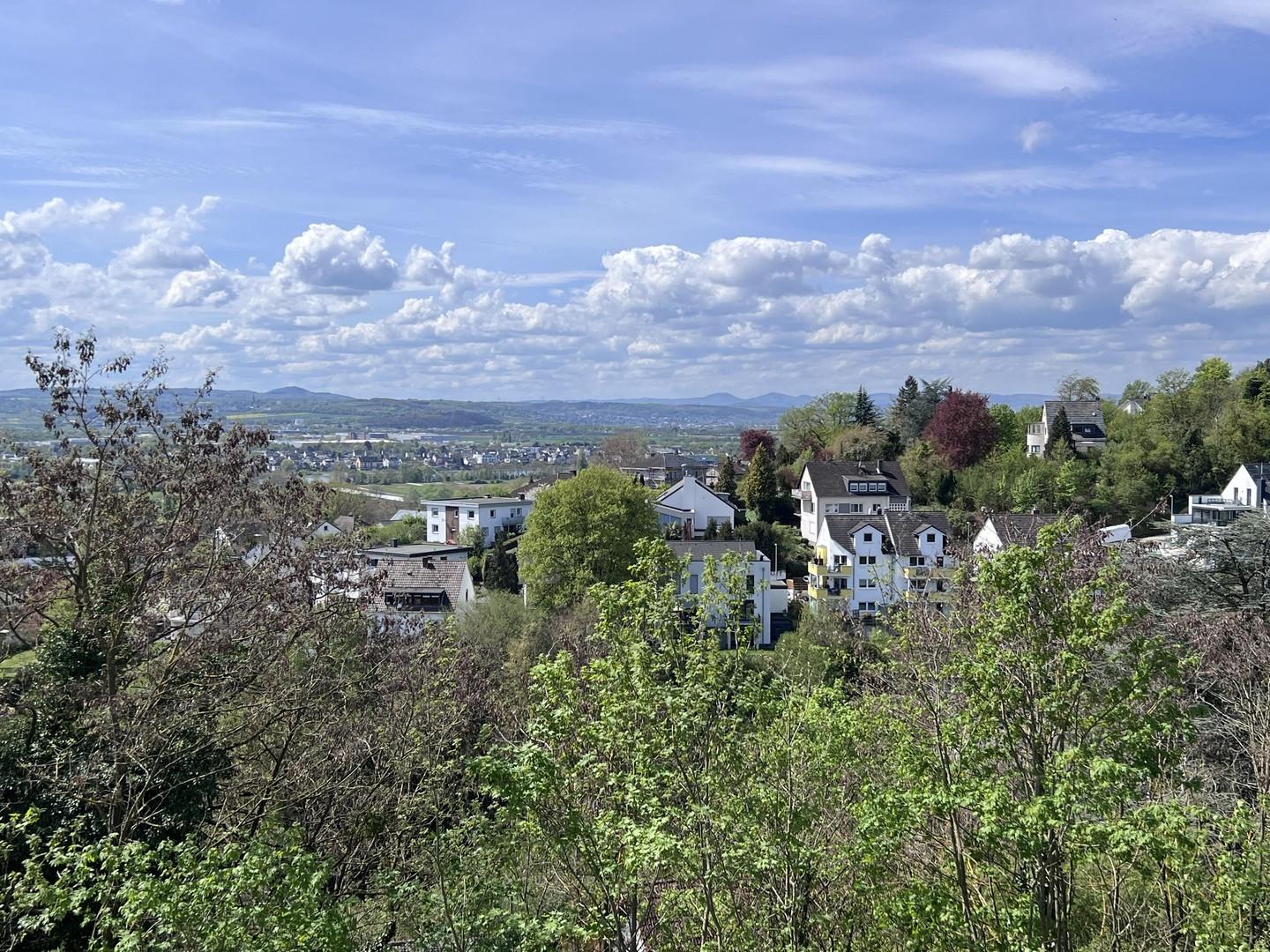 Ausblick über das Rheintal