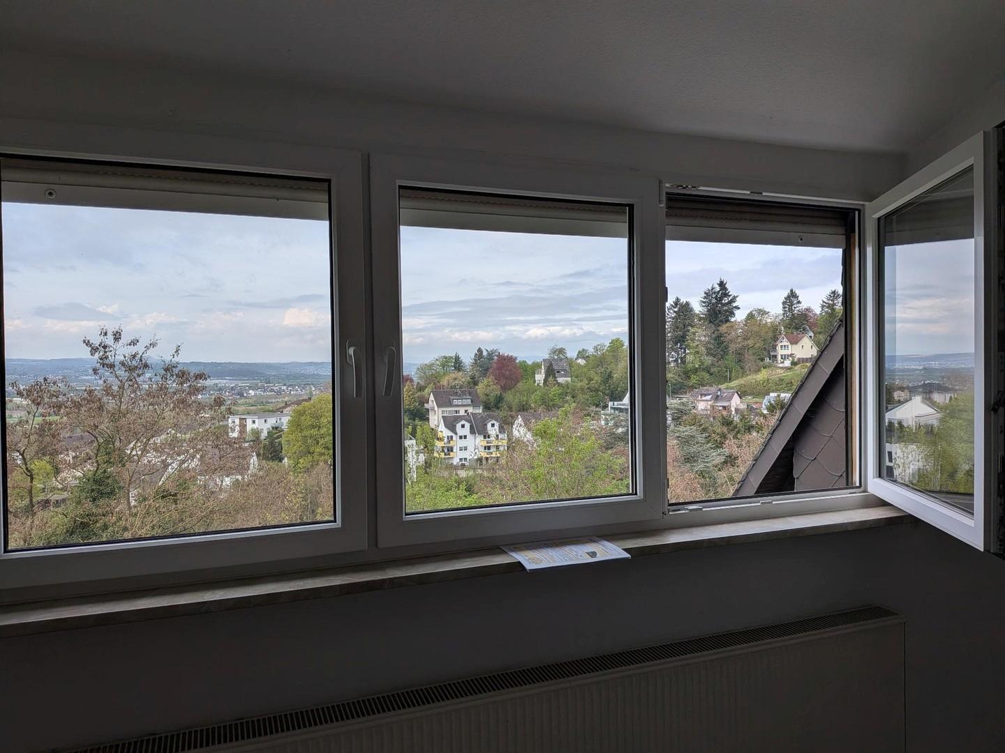 Bilck aus dem Wohnzimmer