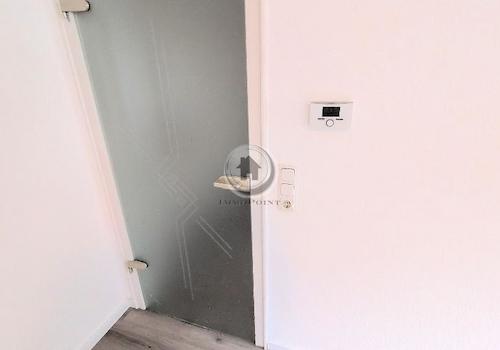 Glastür und Thermesteuerung