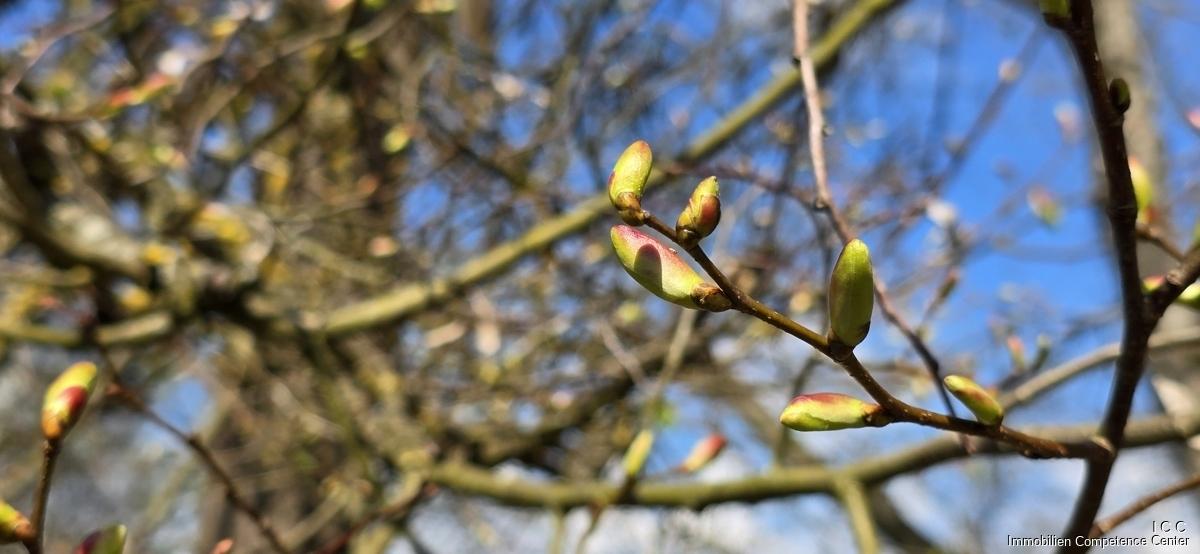 Geretsham 9_17.04.2026_ (26)