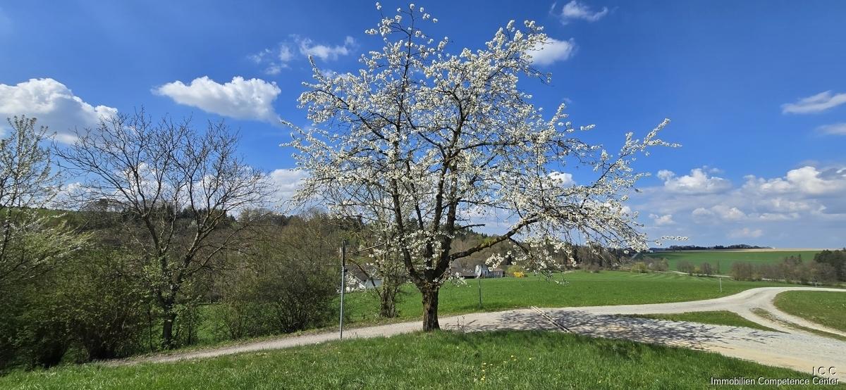 Geretsham 9_17.04.2026_ (42)