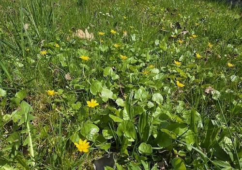 Geretsham 9_17.04.2026_ (31)