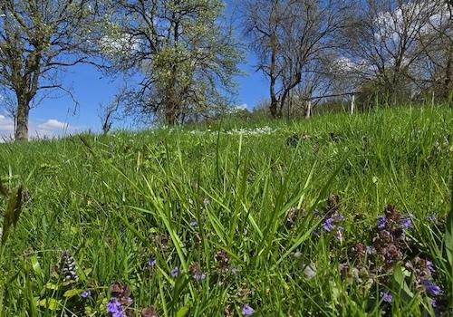 Geretsham 9_17.04.2026_ (1)