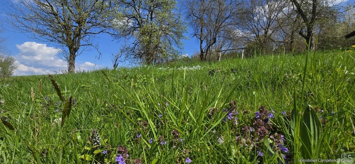 Geretsham 9_17.04.2026_ (1)