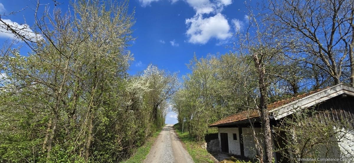 Geretsham 9_17.04.2026_ (32)