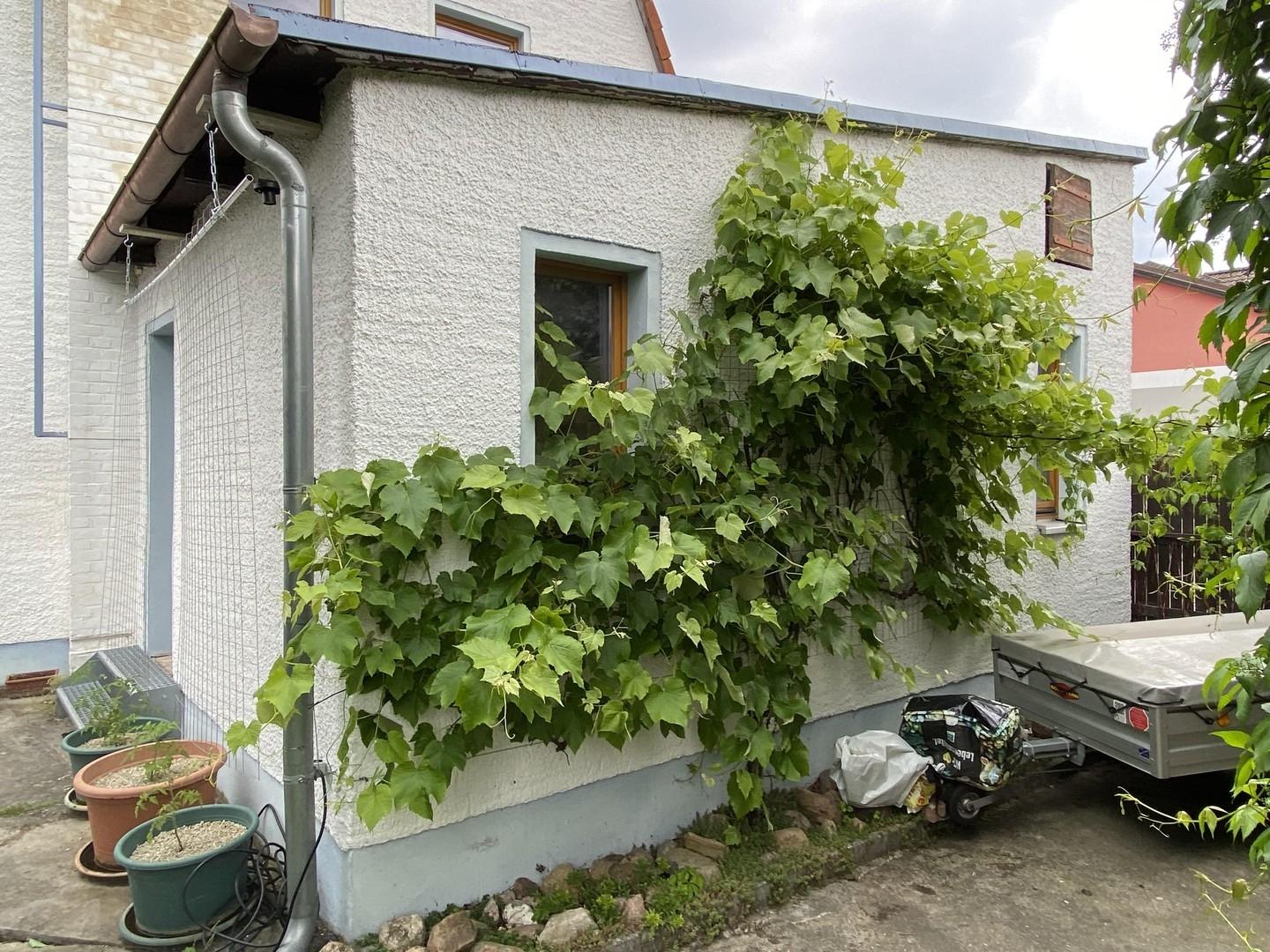 Hauswirtschaftsraum, Hofseite