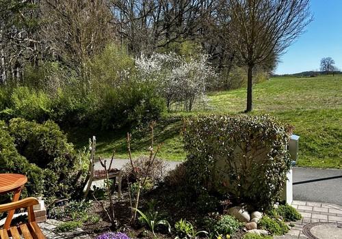 Blick aus Vorgarten/Haustür