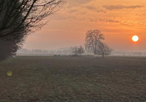 Blick aus Fenster am Morgen