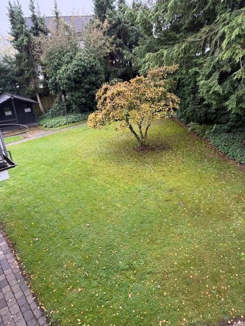 Garten Blick vom Wohnzimmer