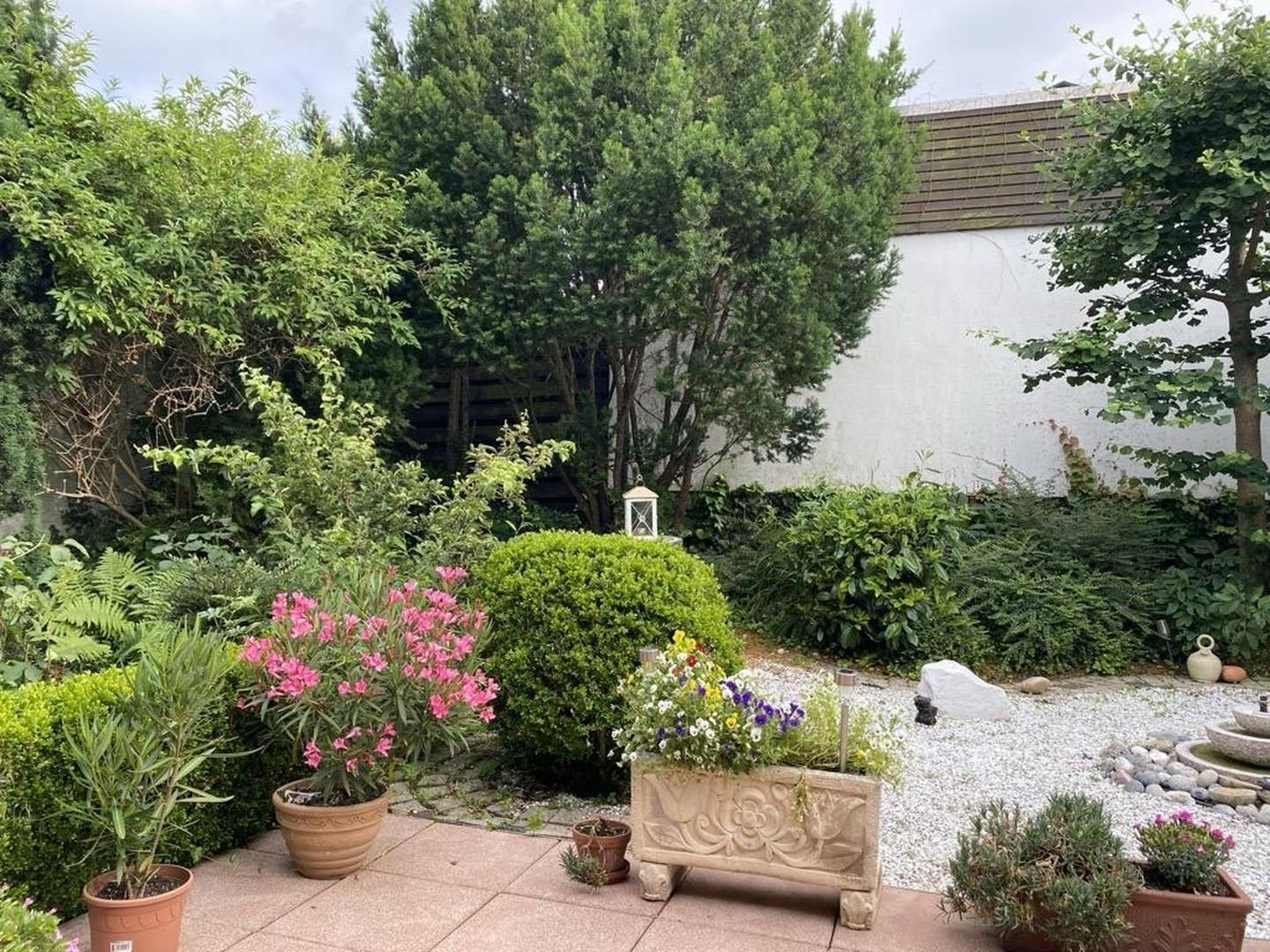 Garten im Sommer