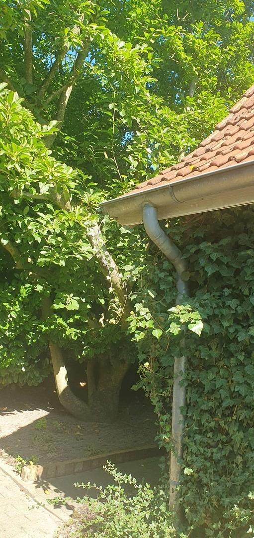 Wohnhaus Detail