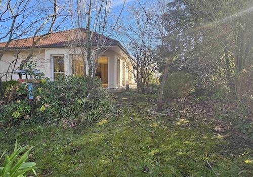 Verwunschener Vogelgarten