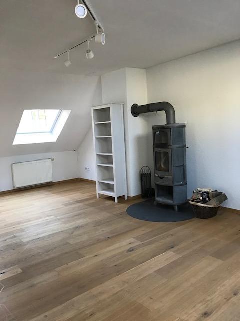 Wohnzimmer Kaminofen 