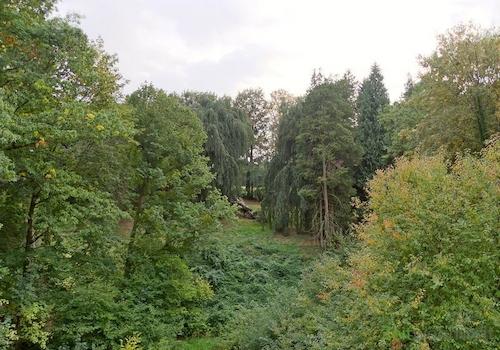 Blick aus dem Fenster in den Park