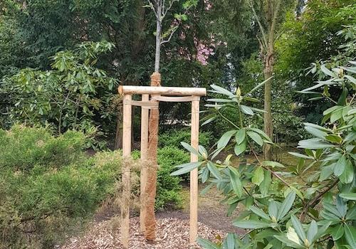 Ersatzgepflanzter Baum