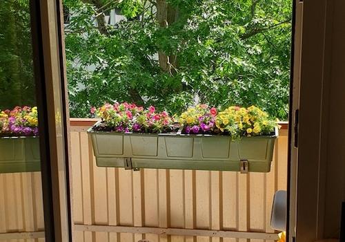 Ost-Loggia an Küche