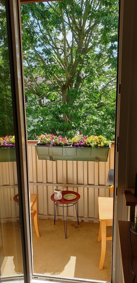 Ost-Loggia an Küche