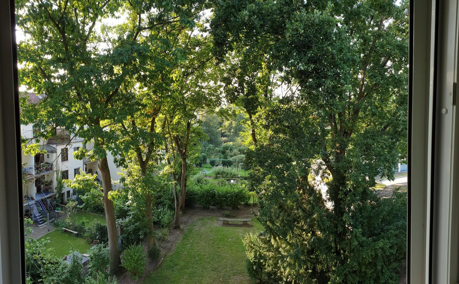 Blick in Garten aus WZ links