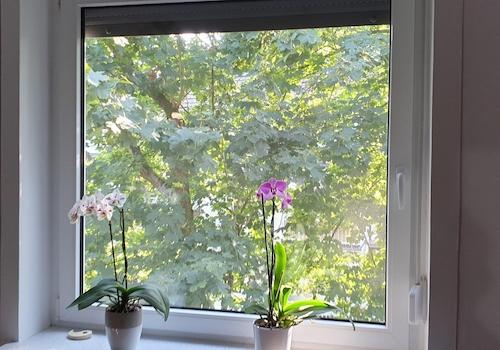 Blick aus Schlafzimmer