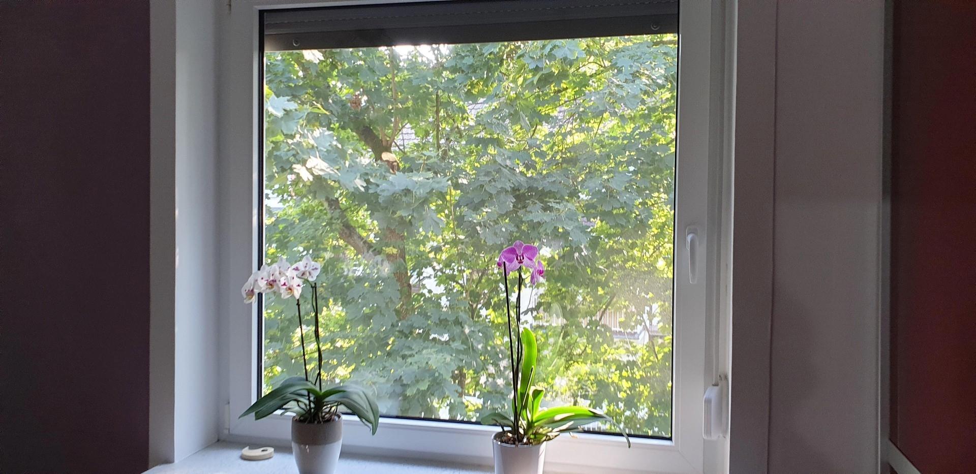 Blick aus Schlafzimmer