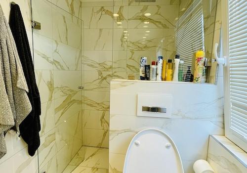 Gäste WC Dusche unten