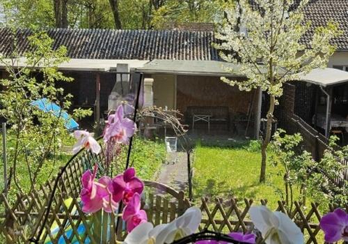 Blick aus Wohnzimmer und Küche