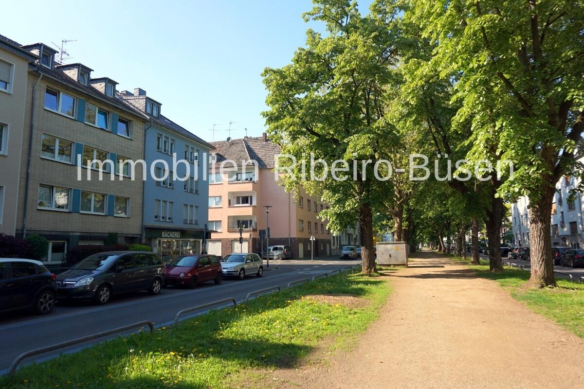 Die Lage an der Allee