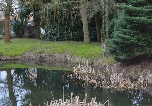 Blick in die Parkanlage