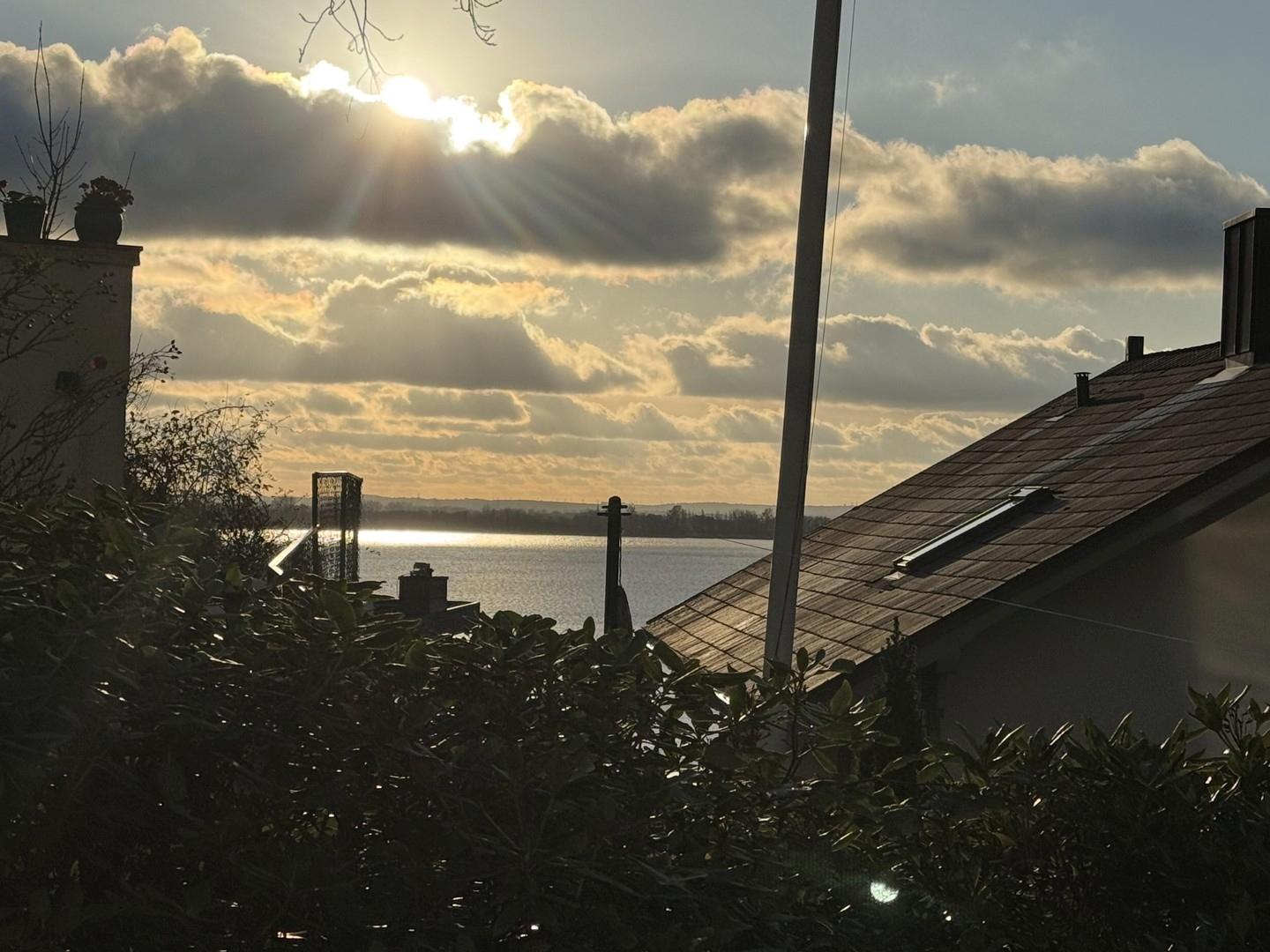 Blick aus Garten auf Elbe