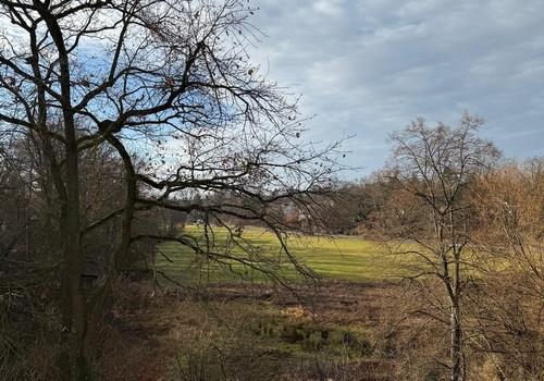 Blick vom Balkon ins Grüne