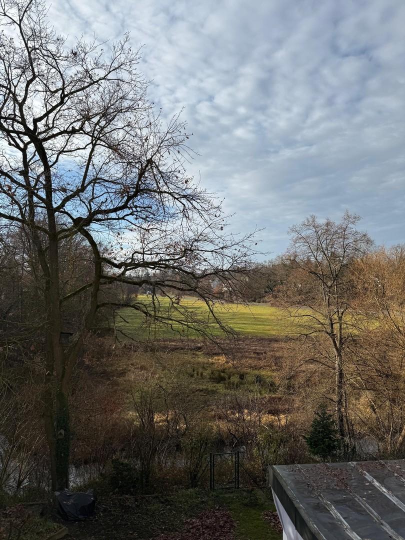 Blick vom Balkon ins Grüne