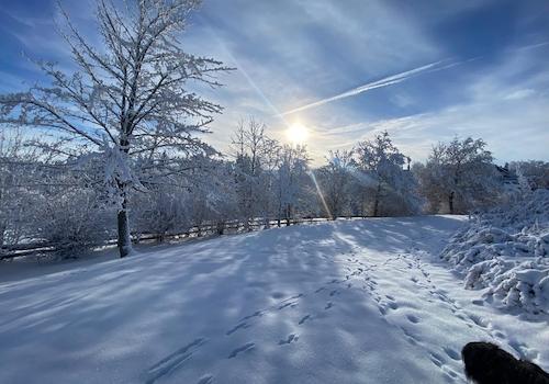 Winteraussicht seitlich