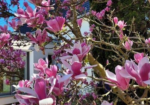 Aussicht vom Lieblingsplatz