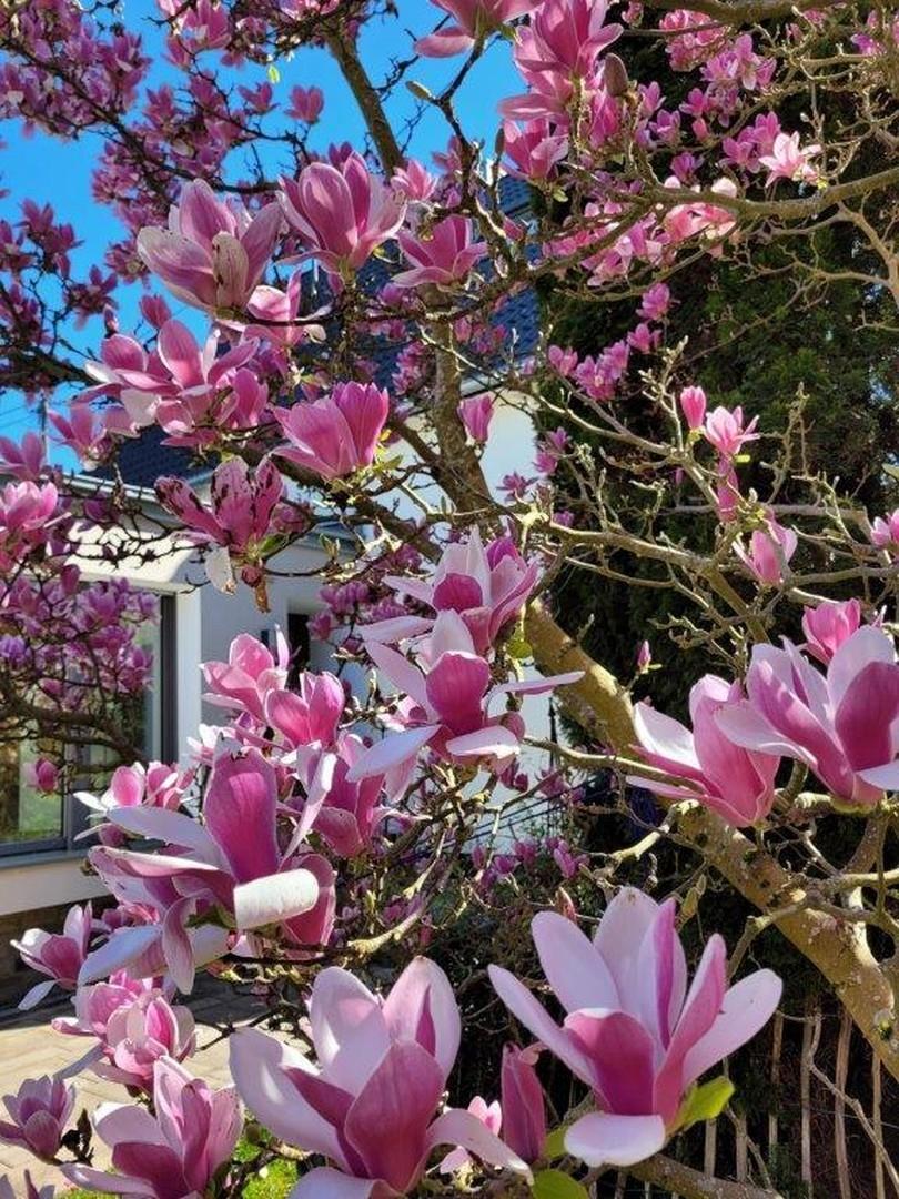 Aussicht vom Lieblingsplatz