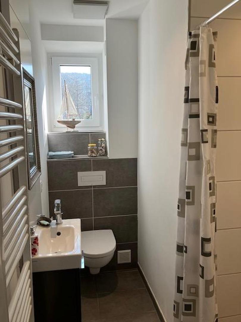 EG Gäste WC mit Dusche