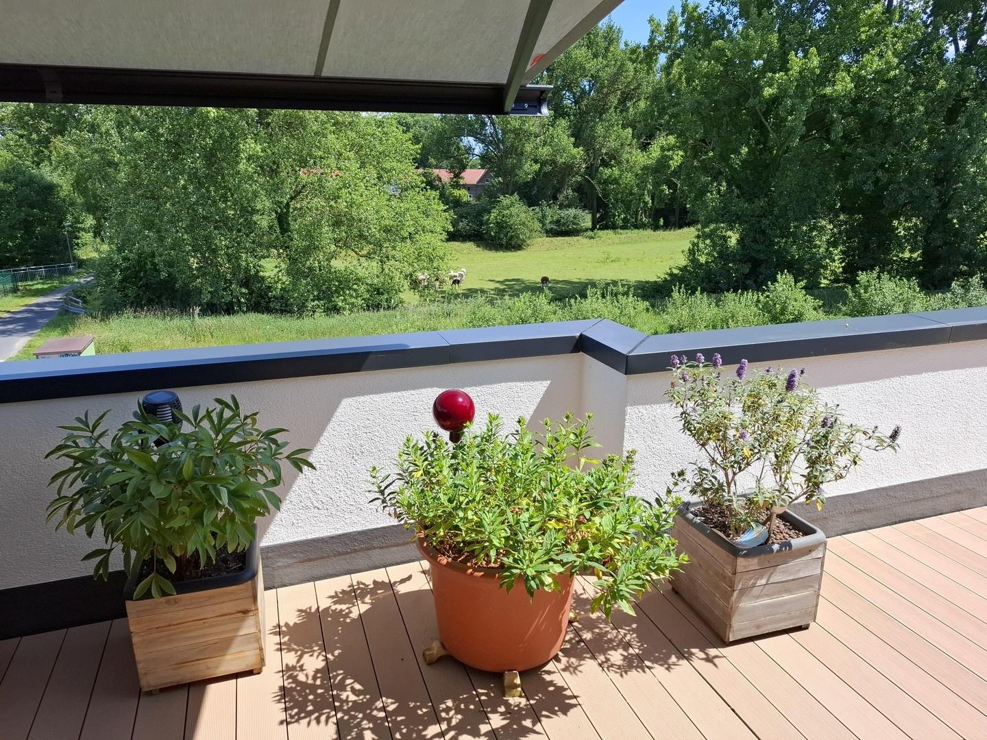 DG - Blick nach Südosten