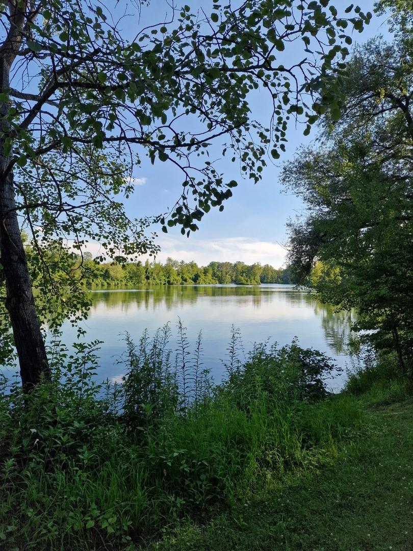 Poschinger Weiher Umgebung