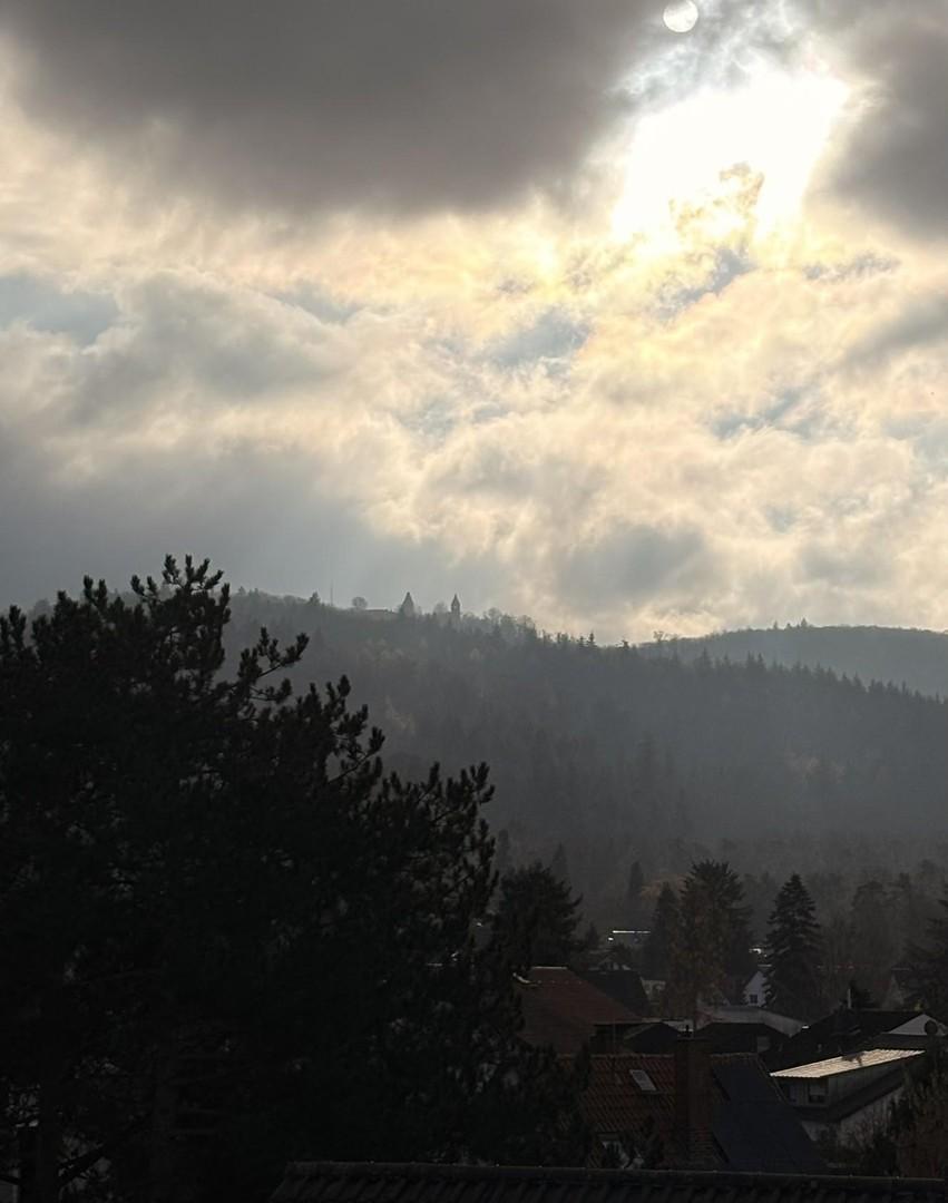 Blick Burg Frankenstein