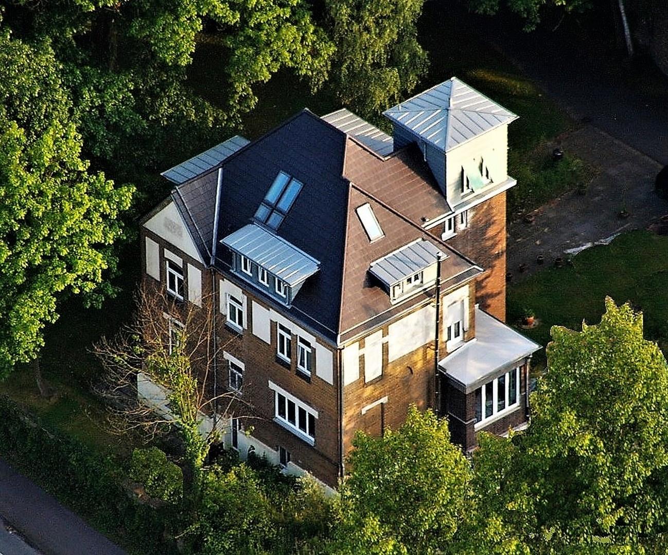 Luftbild Villa im Park