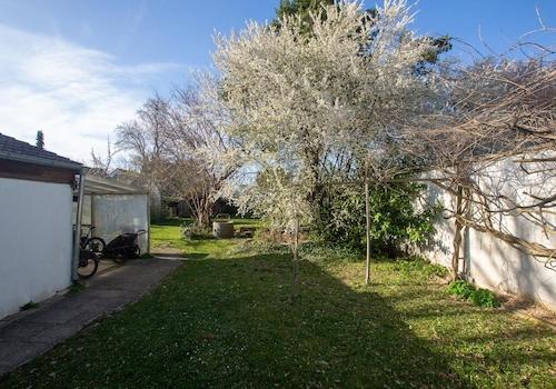 Garten; Blick Richtung Norden