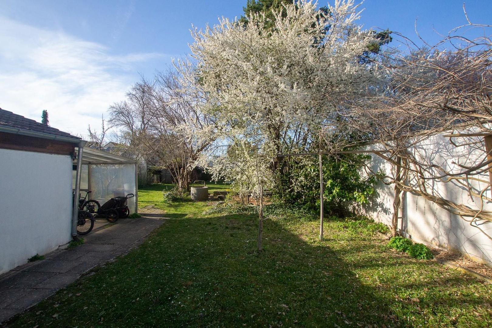 Garten; Blick Richtung Norden