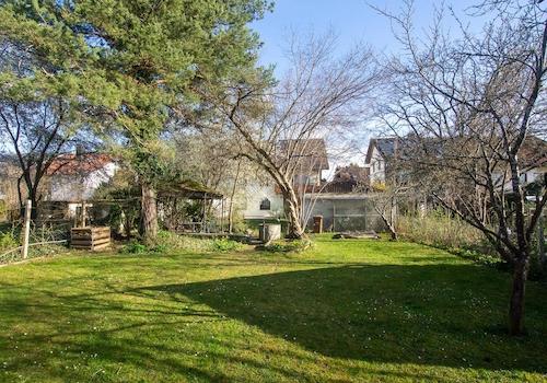 Garten; Blick Richtung Süden