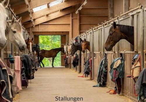 Reithallenstall mit 